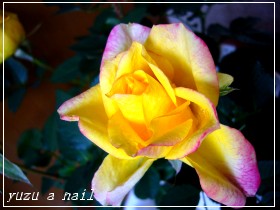 サンマリノ・Ｆ