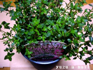 フレンチタイム