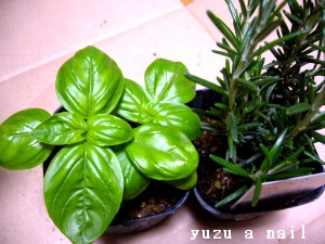 バジルandローズマリー