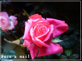 マルセイユ・Ｆ