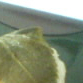 cut2.jpg
