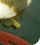 cut4.jpg