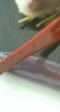 cut3.jpg