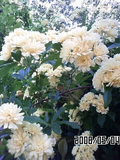 2008-05-08 21:05:11