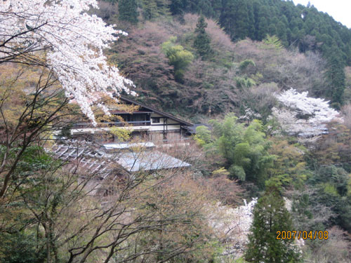 山口旅館