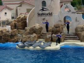 sea world 2