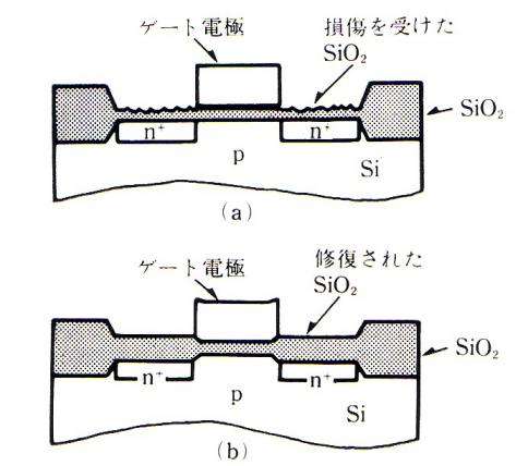 イオン打ち込み損傷修復