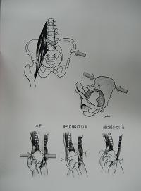 図