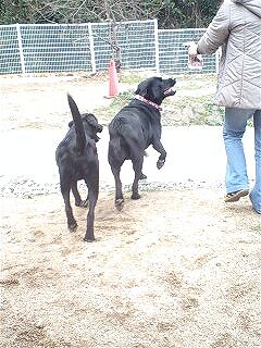 071216_1342~0001.jpg