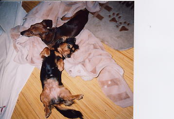 華子　女の子　４歳