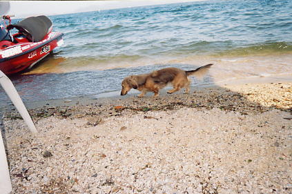 もも　女の子　３歳