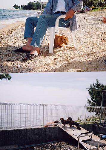 レナちゃん　１歳