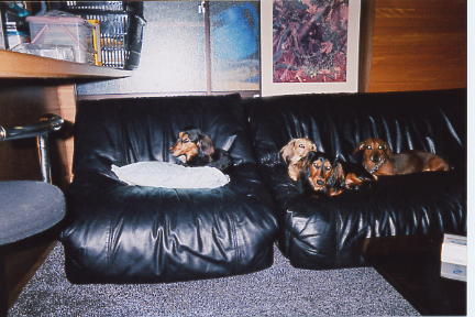 志賀のおうち　ソファーでゆったり！