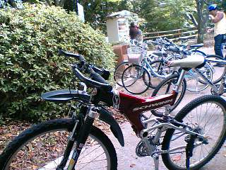 06-10-21_13-05.jpg