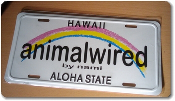 ハワイの虹のナンバープレート