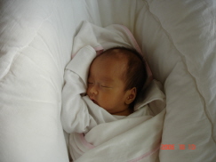 滴奄痕発_紫遭 986.jpg