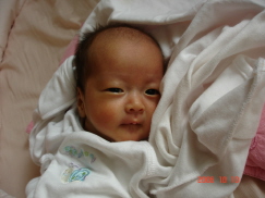 滴奄痕発_紫遭 983.jpg