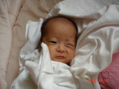 滴奄痕発_紫遭 981.jpg