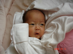 滴奄痕発_紫遭 980.jpg