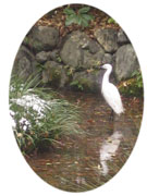 shimogamo051218_037.jpg