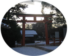 kamigamo051218_140.jpg