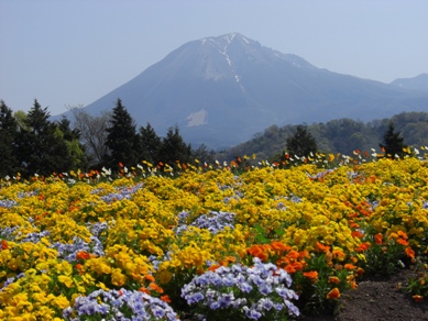 花と大山