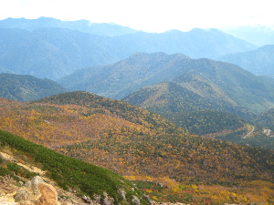 乗鞍の紅葉