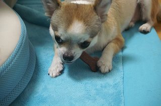 サマーカット 010.jpg