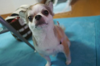 サマーカット 004.jpg