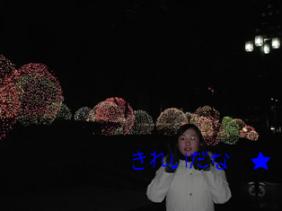 2005年12月28日～1月4日ソウル 012.jpg