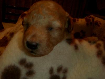 1/25  長女の目が少しあきました