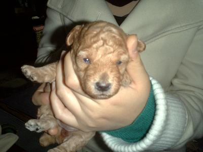 1/26  長女の目があきました