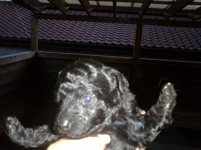 1/26  大きなおメメがあきました