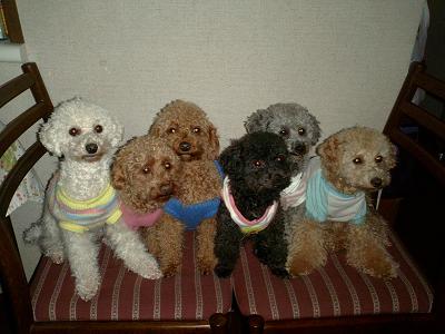 2006.1.1あけましておめでとうございます