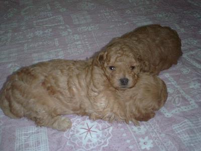 あごをのせる長女