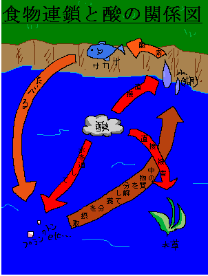 酸性雨の被害について 酸性雨について考え 発信する処です 楽天ブログ