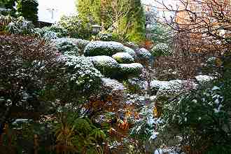 研究所の庭･２回目の雪