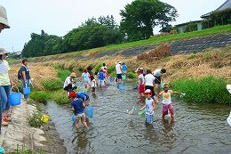 田尻川で魚とり1