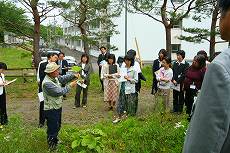 野外に出て植物の観察