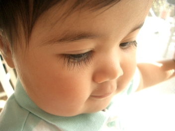 feb 8 2006 zoom.JPG