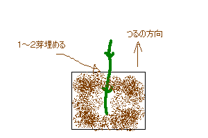 さしめ