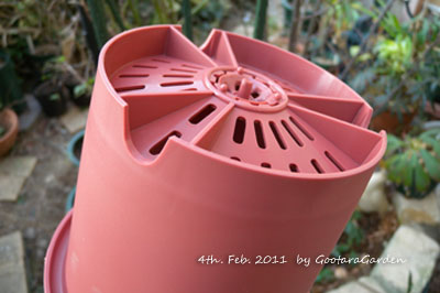 pot20110204.jpg