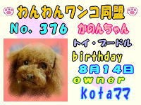 ワンワン：376.jpg