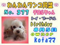 ワンワン：377.jpg