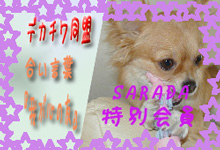 デカチワさらだ