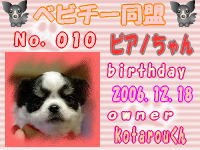 ベビチー：010.jpg
