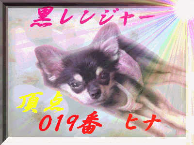 黒レンジャーひな