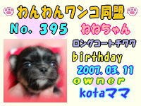ワンワン：395.jpg
