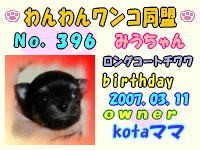 ワンワン：396.jpg