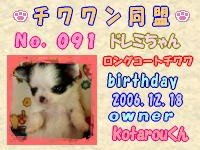 チワワン同盟：091.jpg
